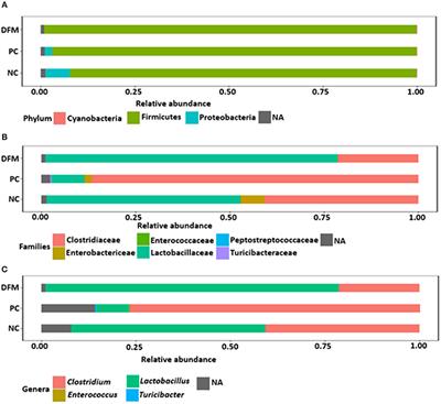 Impact of a Bacillus Direct-Fed Microbial on Growth Performance, Intestinal Barrier Integrity, Necrotic Enteritis Lesions, and Ileal Microbiota in Broiler Chickens Using a Laboratory Challenge Model